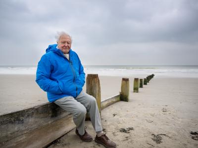 Billede af David Attenborough ved havet.
